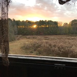 Meet your Posher, Pat